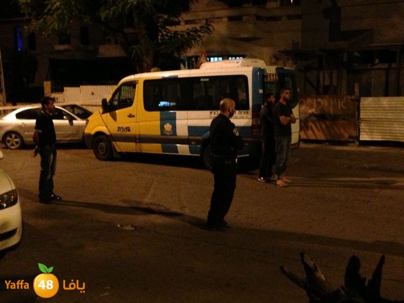 fireludmidnight530 (4).jpg